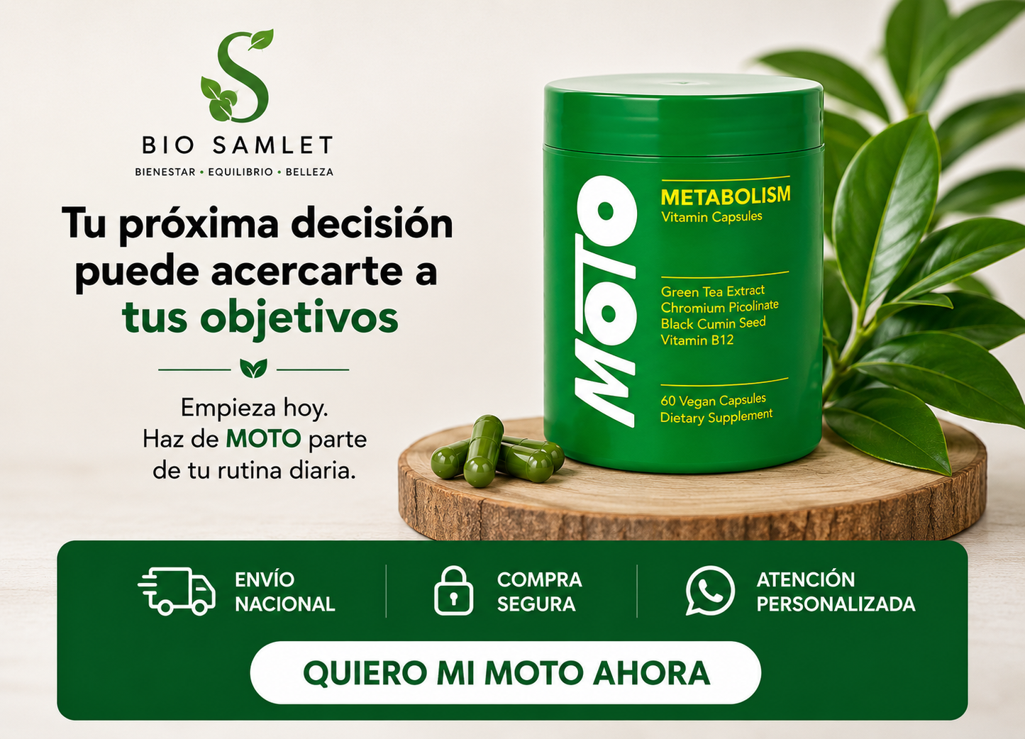 MOTO metabolism